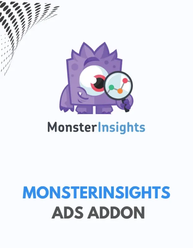 MONSTERINSIGHTS - ADS ADDON
