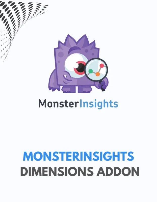 MONSTERINSIGHTS - DIMENSIONS ADDON