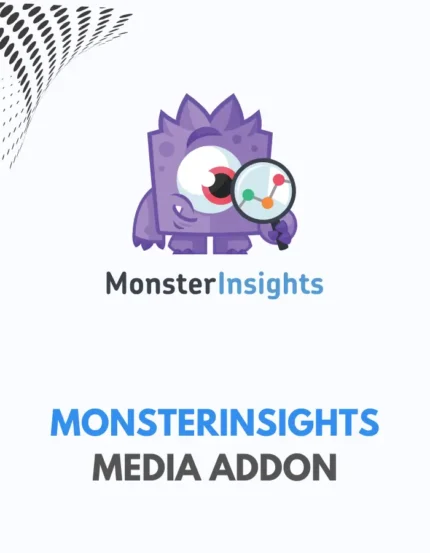 MONSTERINSIGHTS - MEDIA ADDON