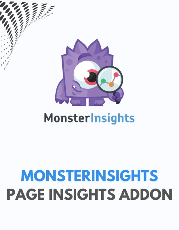 MONSTERINSIGHTS - PAGE INSIGHTS ADDON