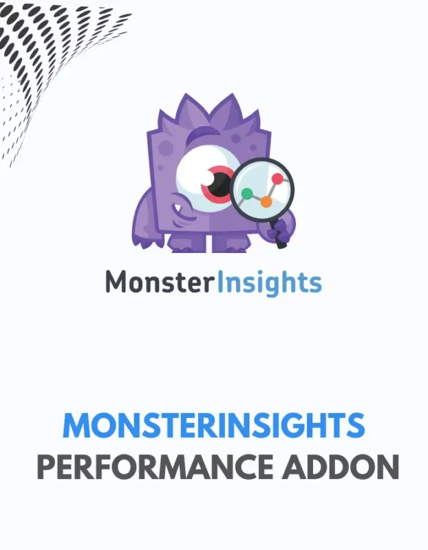 MONSTERINSIGHTS - PERFORMANCE ADDON