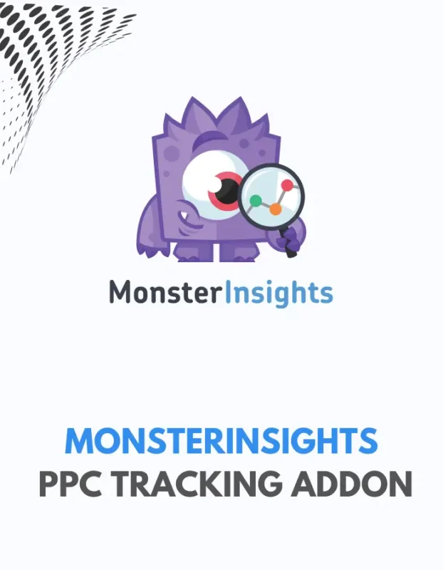MONSTERINSIGHTS - PPC TRACKING ADDON