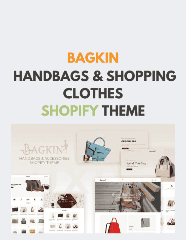 Bagkin- Handbags & Shopping Clothes Shopify Theme