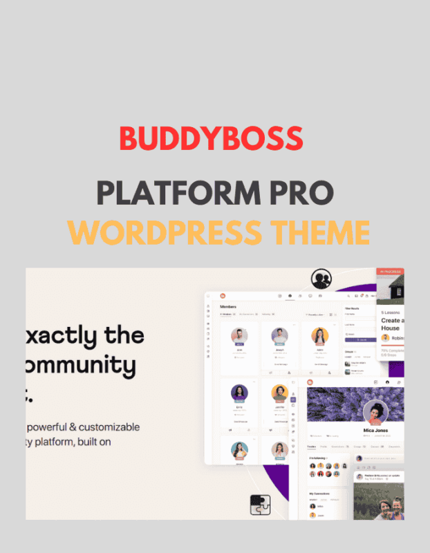 BuddyBoss Platform Pro