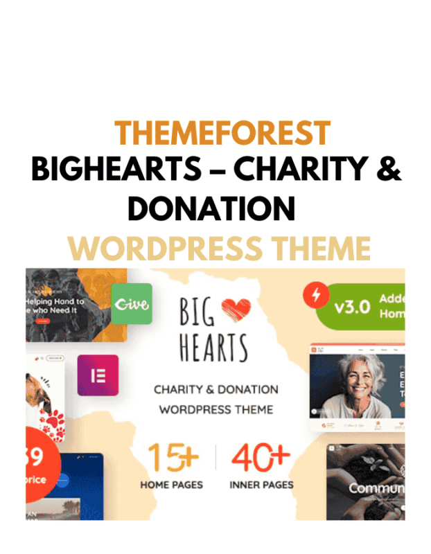 BigHearts – Charity & Donation WordPress Theme