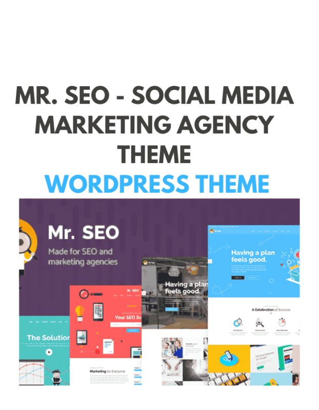 Mr. SEO - Social Media Marketing Agency Theme