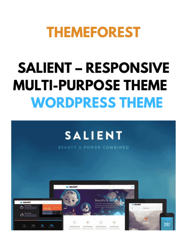 Salient – Responsive Multi-Purpose Theme