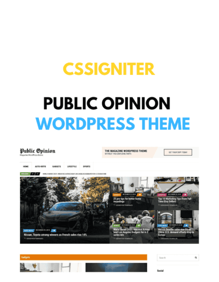 Public Opinion