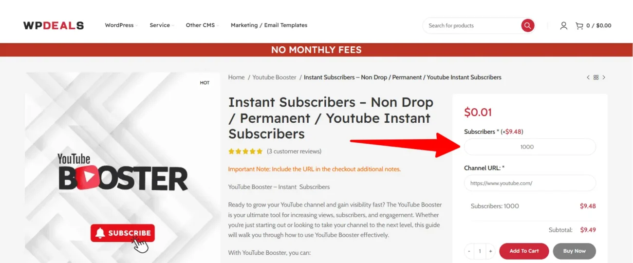 Wordpress Service Image2
