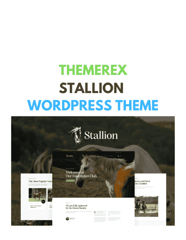 Stallion WordPress Theme