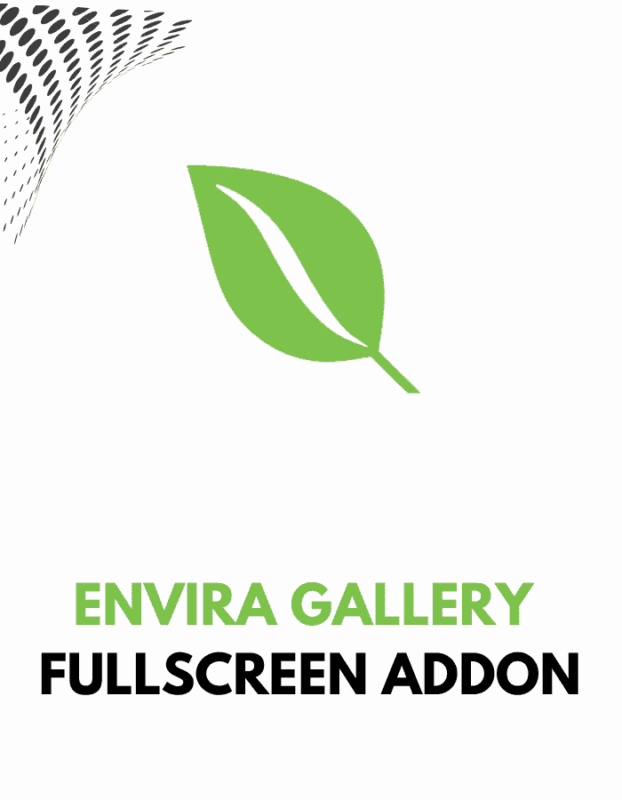 Envira Gallery – Fullscreen Addon