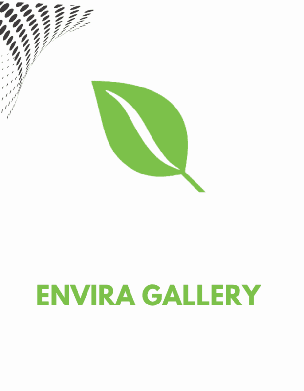 Envira Gallery