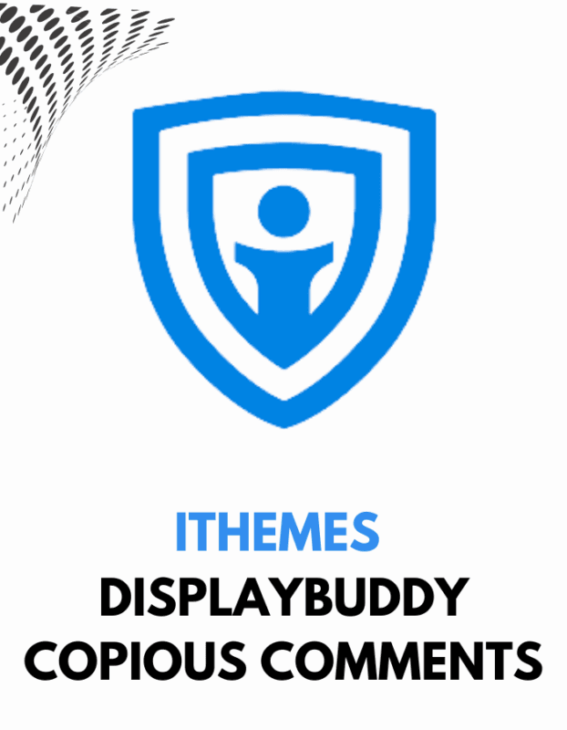 iThemes DisplayBuddy Copious Comments