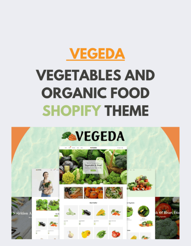 Vegeda - Vegetables And Organic Food Shopify Theme